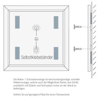 Piktogramme FORMO.einschub 151,5 x 151,5 mm (BxL) 4